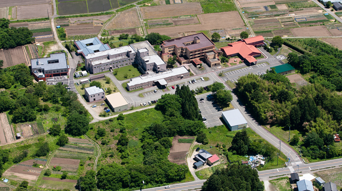 杏園