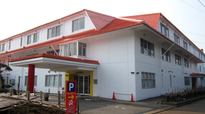 エバーグリーン