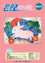 第29号